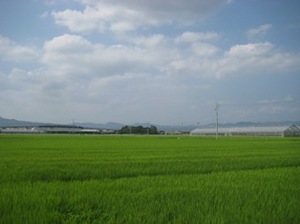 田園風景.JPG